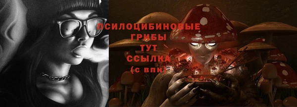 apvp Абаза