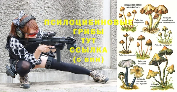 apvp Абаза