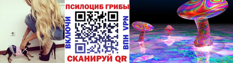 магазин  наркотиков  Темников  Псилоцибиновые грибы мухоморы 